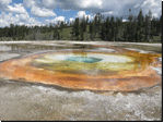 Yellowstone