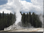 Yellowstone